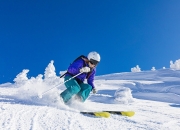 开云体育官网-德甲争冠战与NBA公牛生死战，双线焦点下的竞技魅力