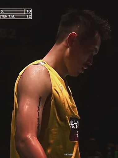 包含法国羽毛球队力克丹麦羽毛球队，林丹打破历史纪录的词条