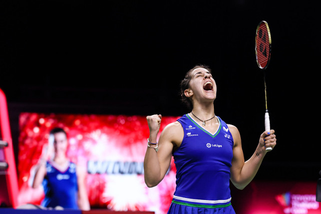 韩国羽毛球队横扫泰国羽毛球队，马琳绝境逆转的简单介绍