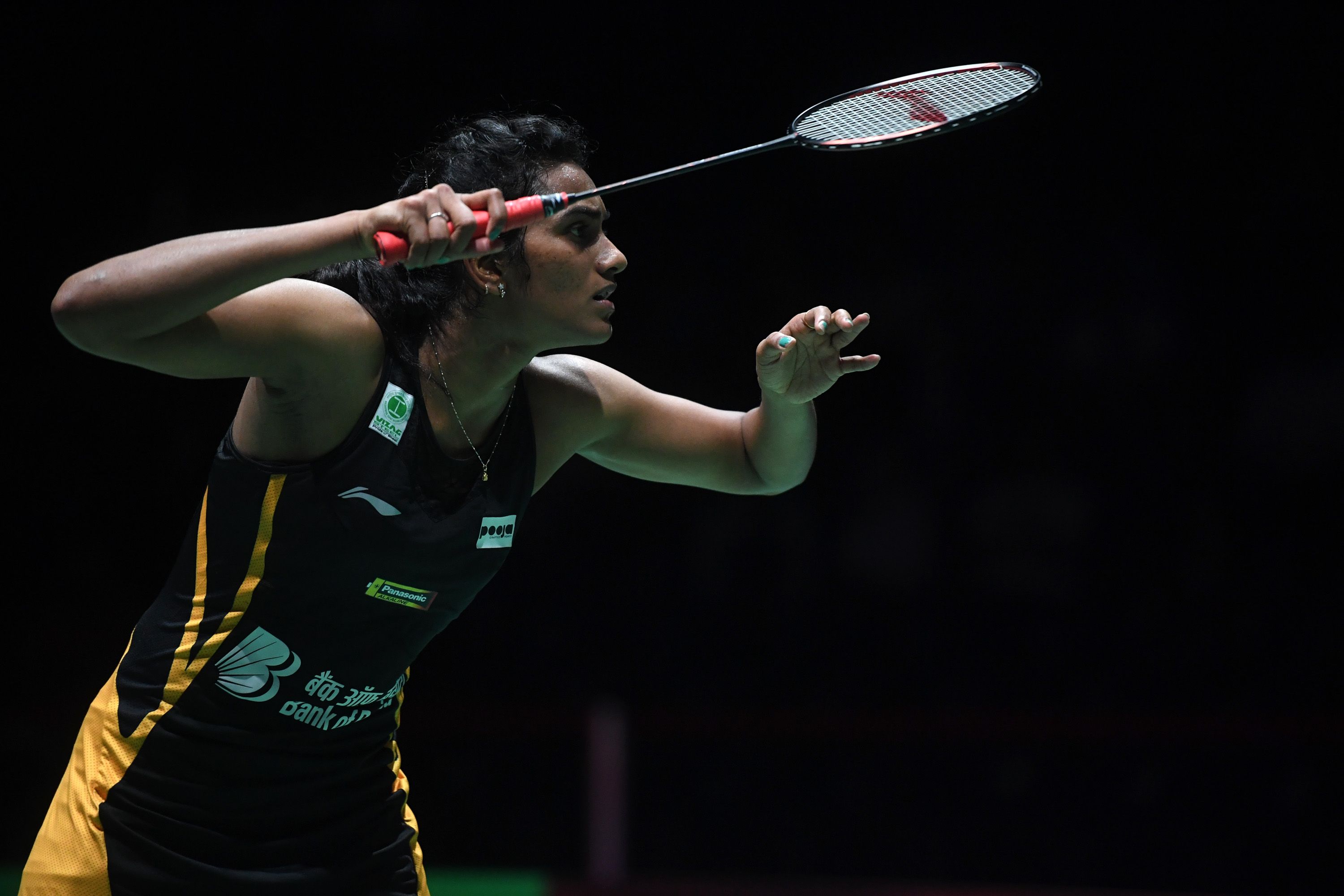 马来西亚羽毛球队血洗印尼羽毛球队，马琳惊艳世界的简单介绍