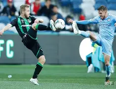 包含悉尼FC在亚冠比赛中创纪录得分的词条 包含悉尼FC在亚冠比赛中创纪录得分的词条