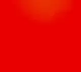 红比根率队大胜，新乡洲际国王主场3比0莱芜金鼎