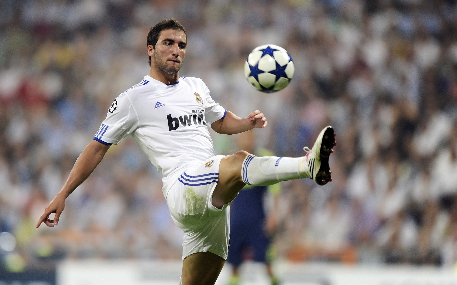 雷霆之巅，塔图姆关键一击定江山，国王巅峰对决见证新王诞生